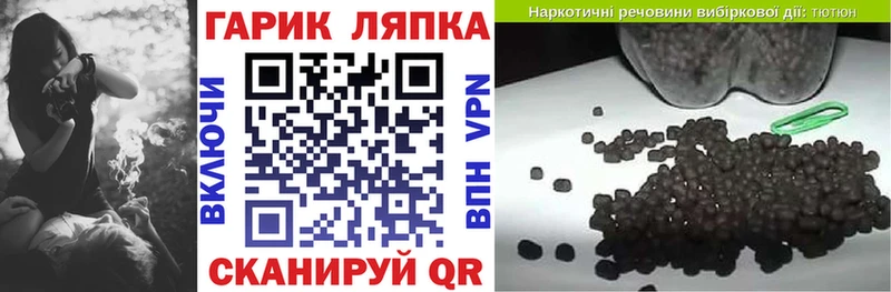 ГАШ hashish  Купить где  Новая Ладога 